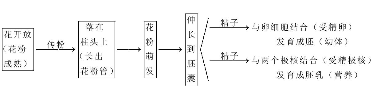 江西教師招聘考試